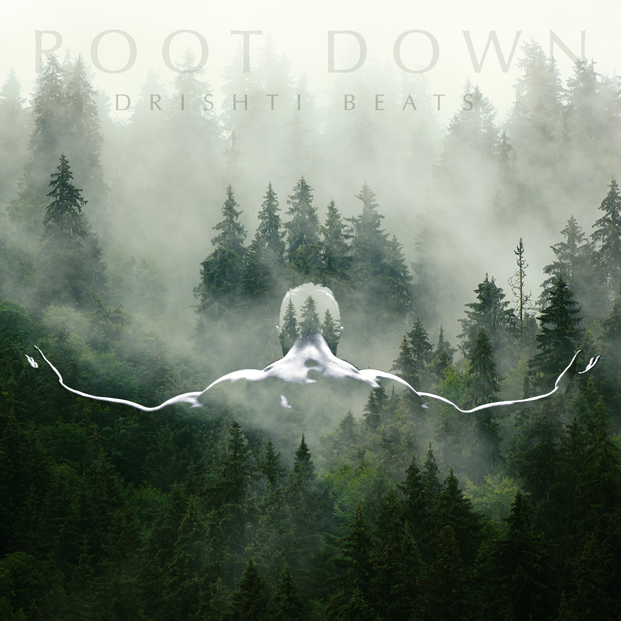 Root Down - Drishti Beats