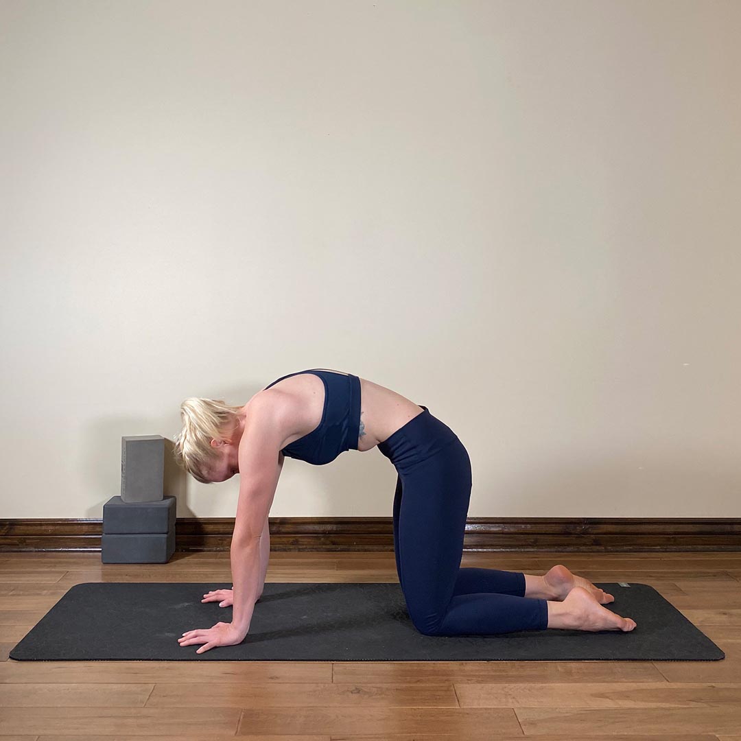 Cat Pose, Marjariasana