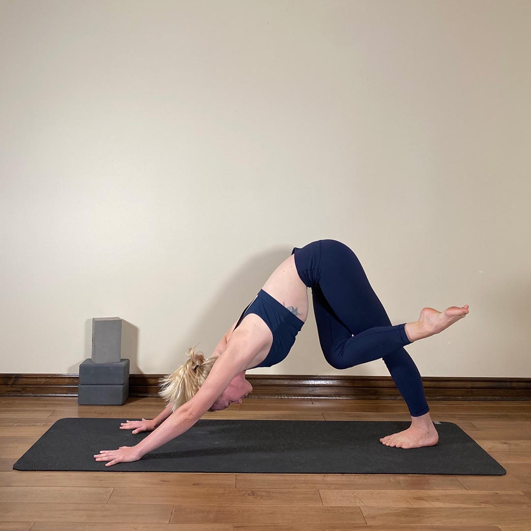 Pada Ardha Gomukasana in Adho Mukha Svanasana