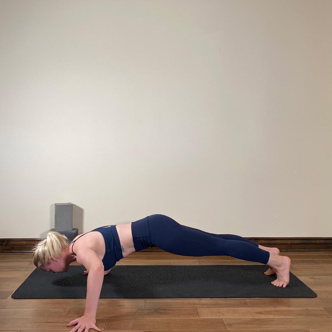 Parsva Hasta Chaturanga Dandasana