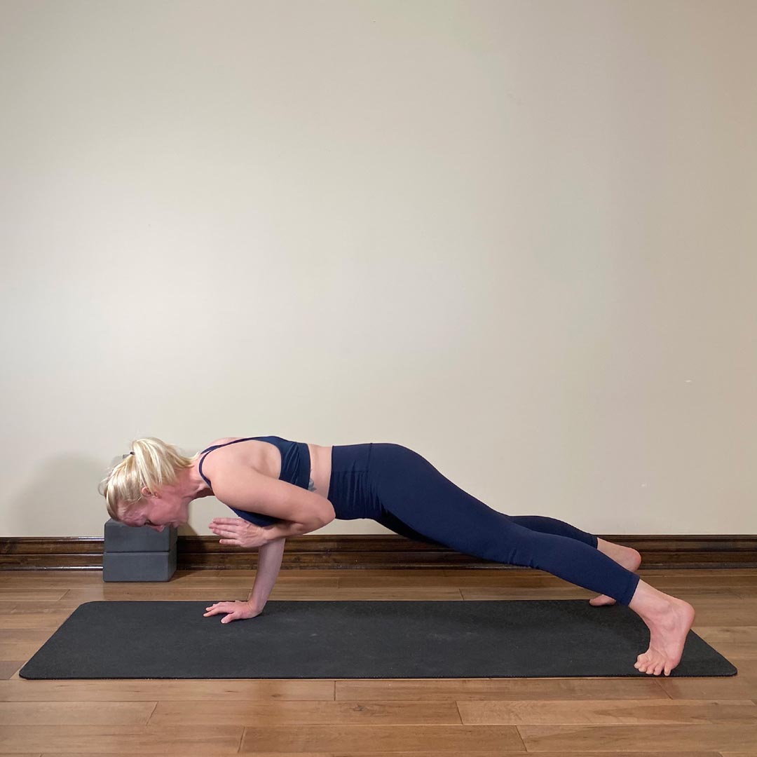 Eka Hasta Chaturanga Dandasana