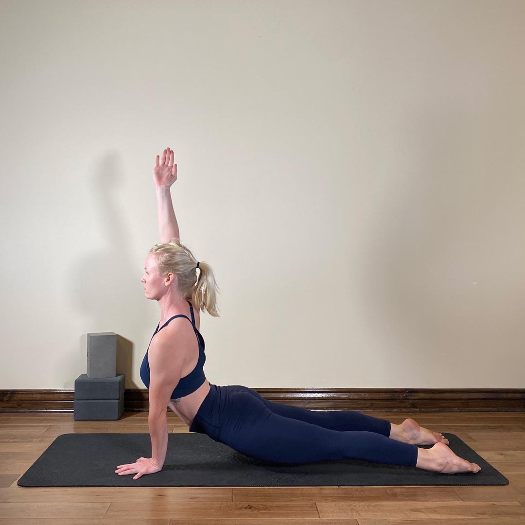 Eka Hasta Urdhva Mukha Svanasana