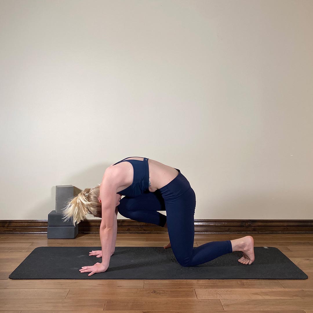 Tiger Pose, Vyaghrasana
