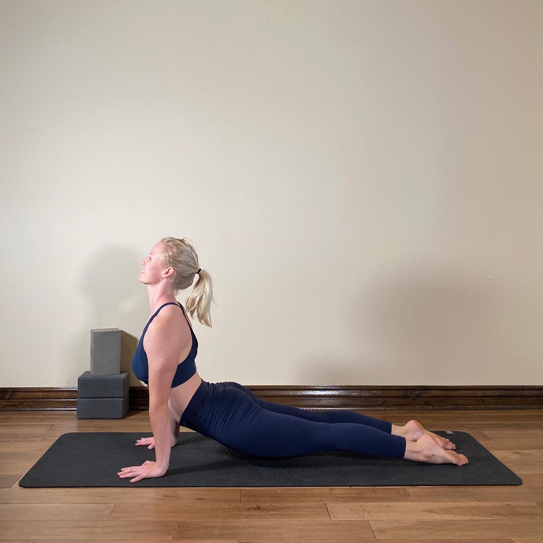 Urdhva Mukha Svanasana