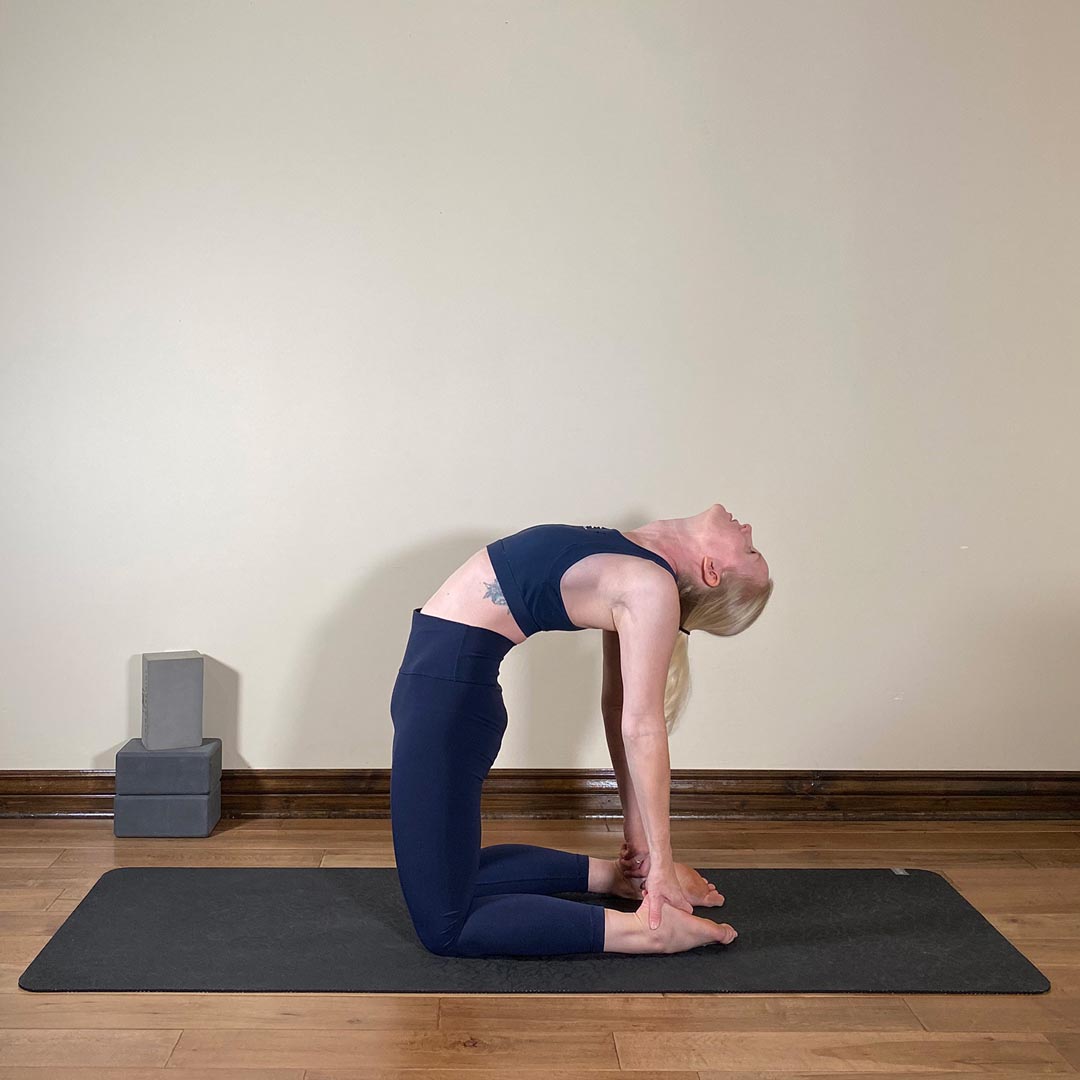 Full Camel Pose, Ustrasana