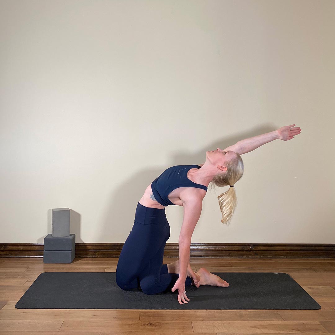 Half Camel Pose, Ardha Danurasana
