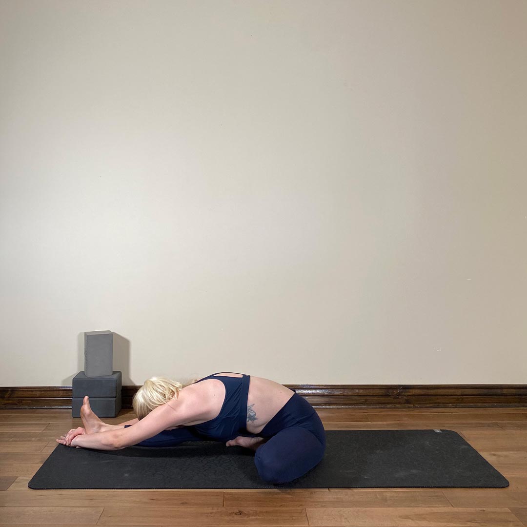 Head to Knee Pose, Janu Sirsasana