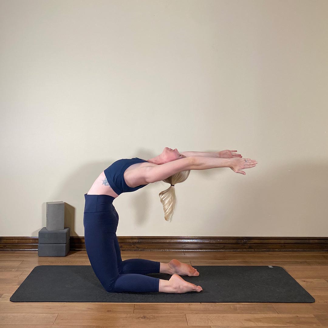 Upward Salute Pose in Camel Pose, Urdhva Hastasana in Ustrasana